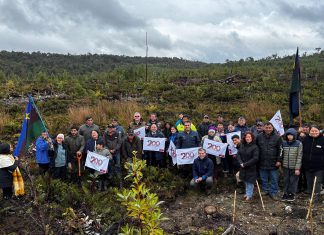 Comunidad Coihuín de Compu culmina proyecto de restauración de bosque nativo