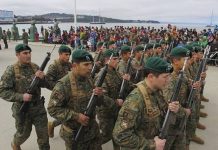 Concejal rechaza propuesta de plan piloto para desplegar militares en Puerto Montt: «No somos conejillos de indias»