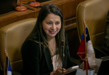 Diputada Paulina Muñoz (PNL) sostiene que a ministro Rabat «le faltó sentido común» por rebaja de penas