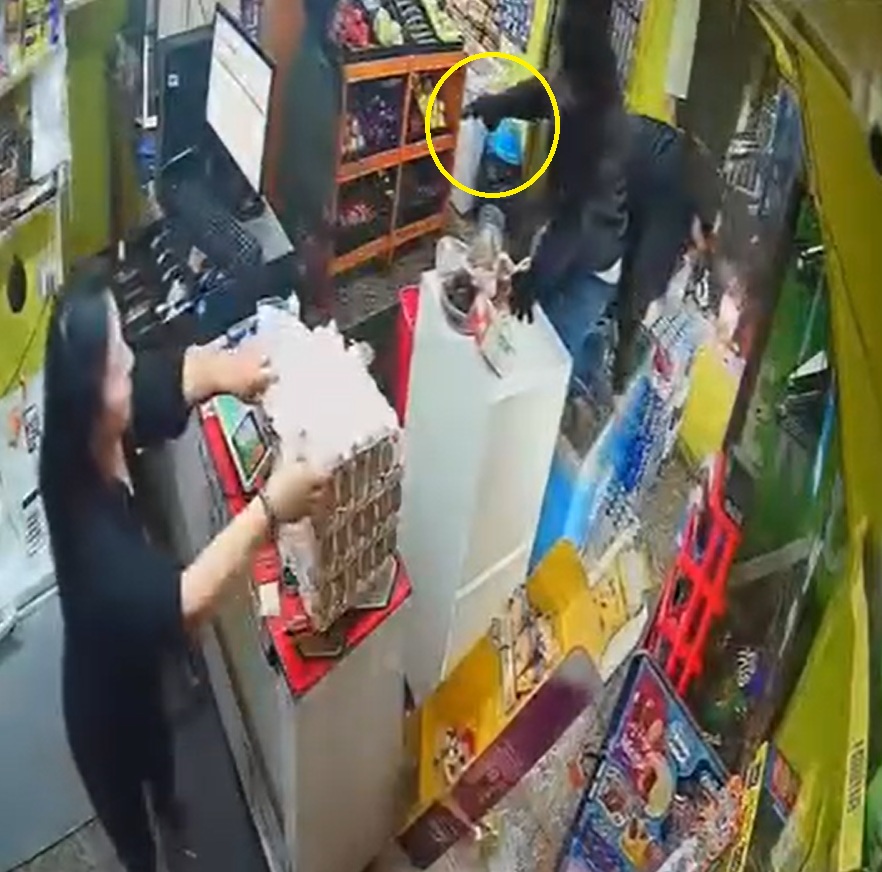 robo domesticos